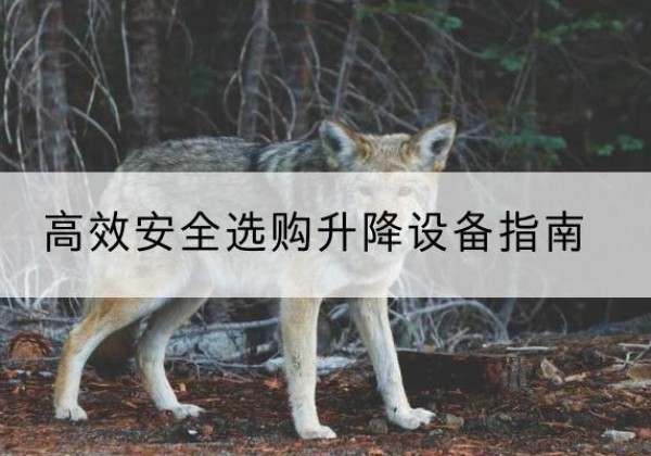 德兴升降货梯厂家推荐-*安全选购升降设备指南