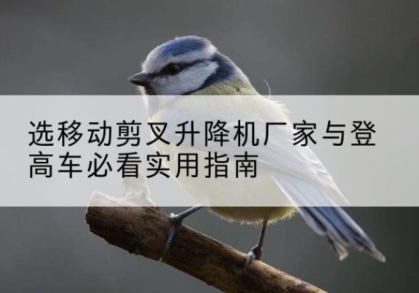 德兴电动升降机厂家-选移动剪叉升降机厂家与登高车必看实用指南