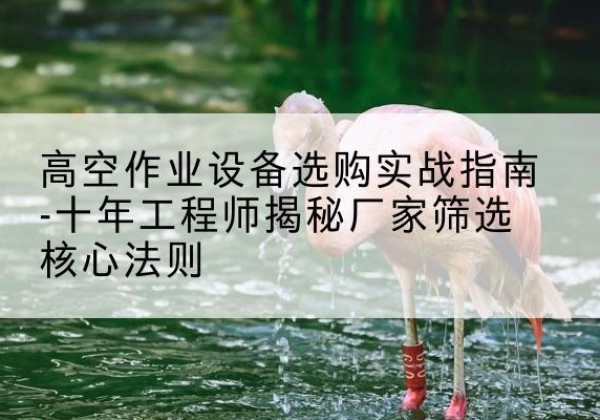 德兴剪叉式升降机厂家-高空作业设备选购实战指南-十年工程师揭秘厂家筛选核心法则